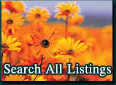 Search All Listings in the MLS